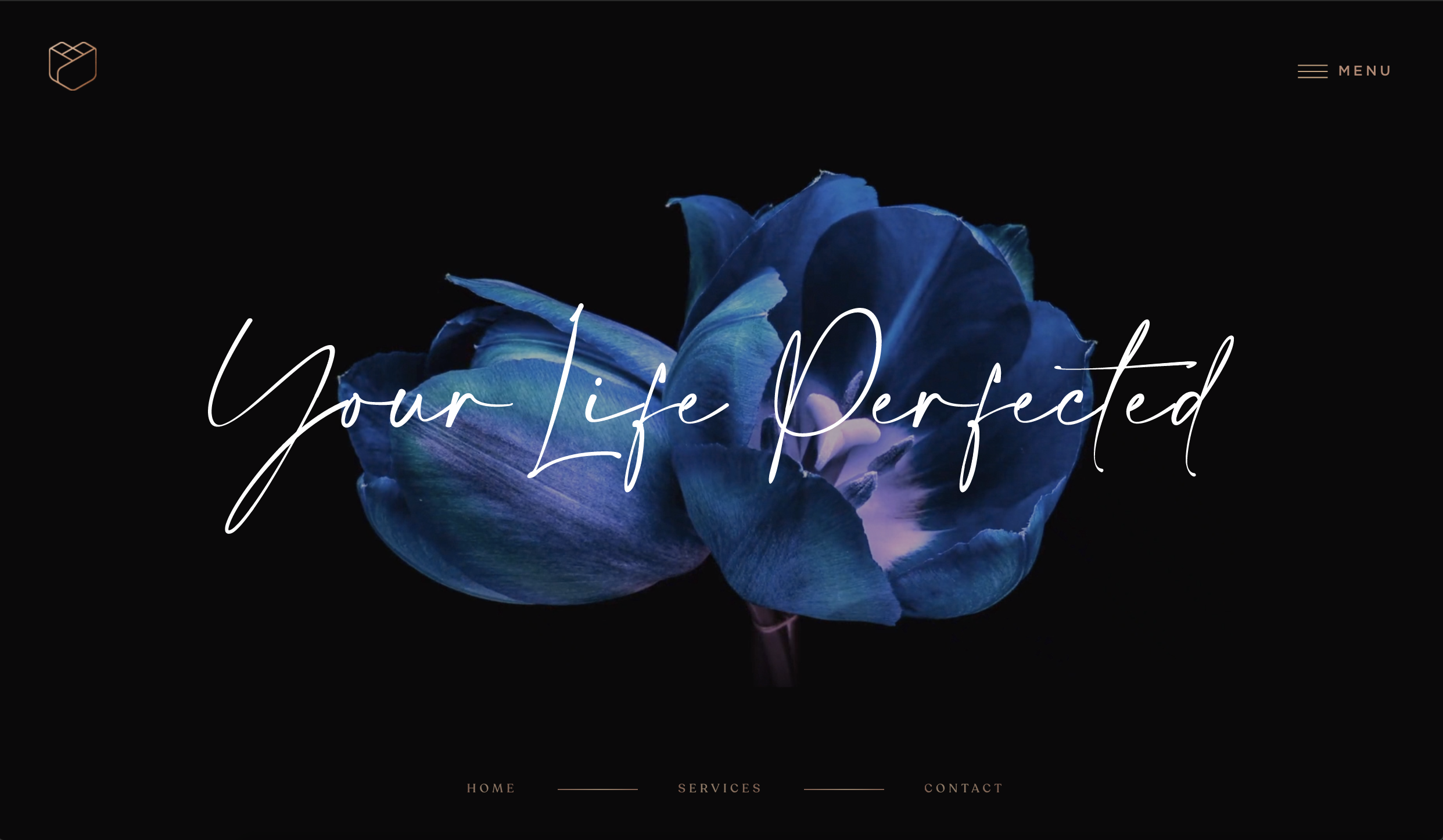 Gryphon Living Royal Curator